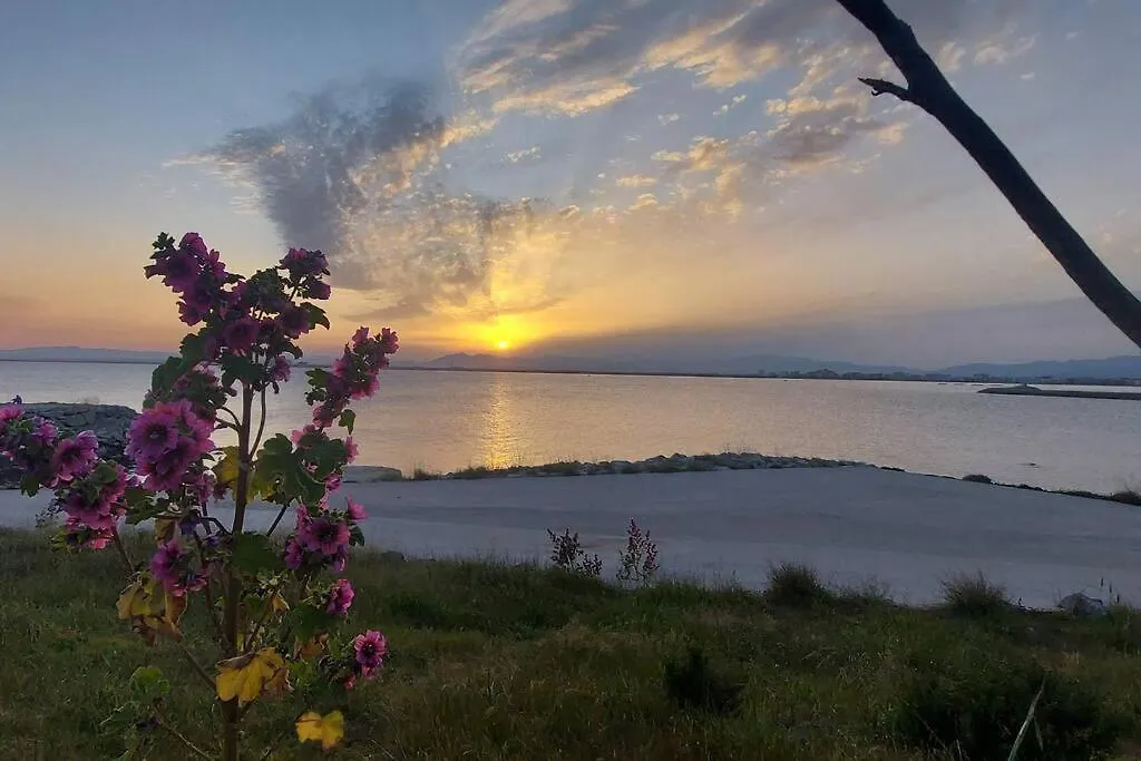 Sunsetmare Vacational Apartment Roses Spain